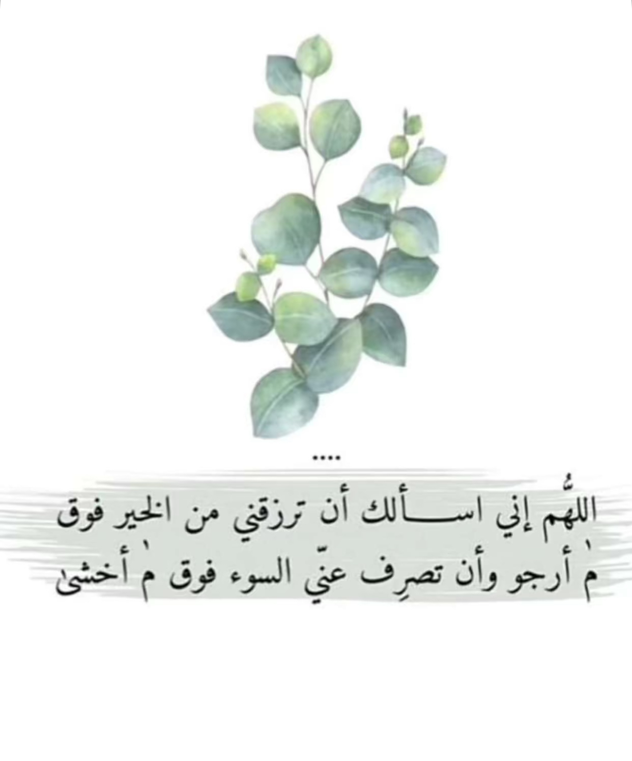 علياء العتيبي