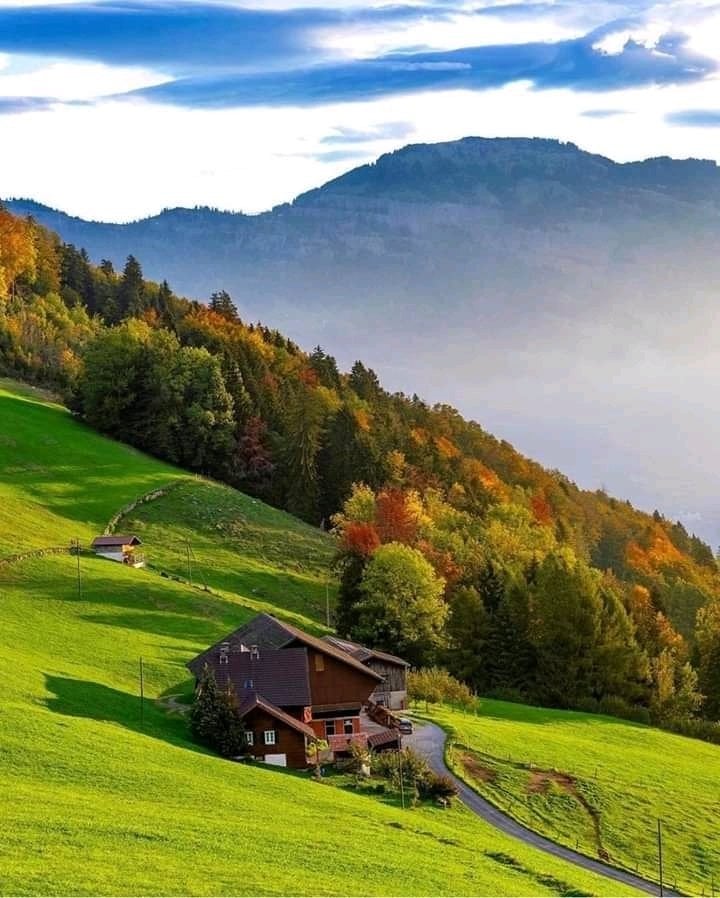 عدال الحربي