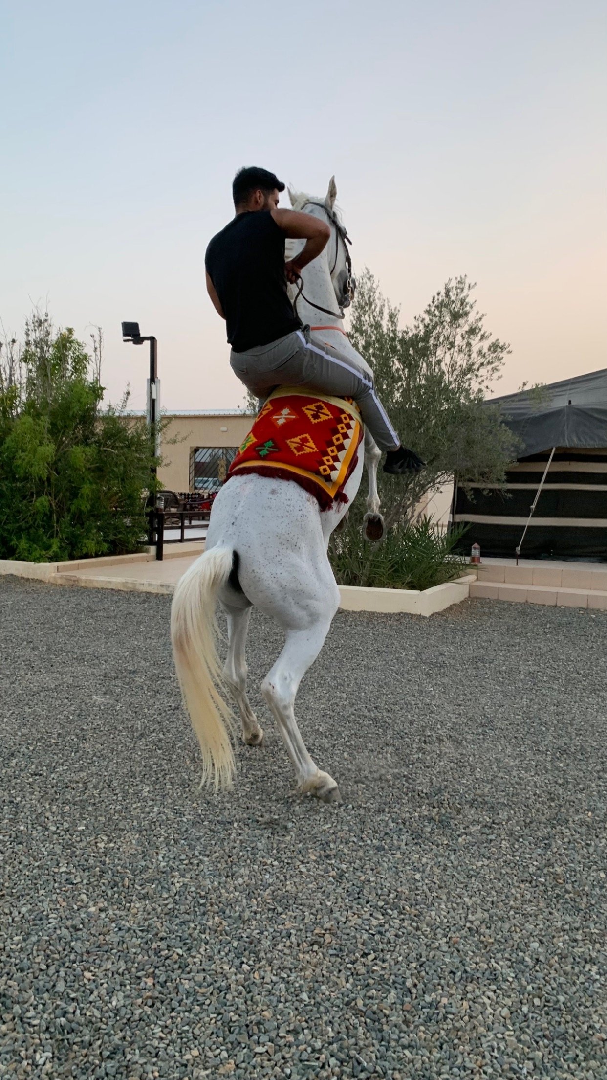 خالد المطيري