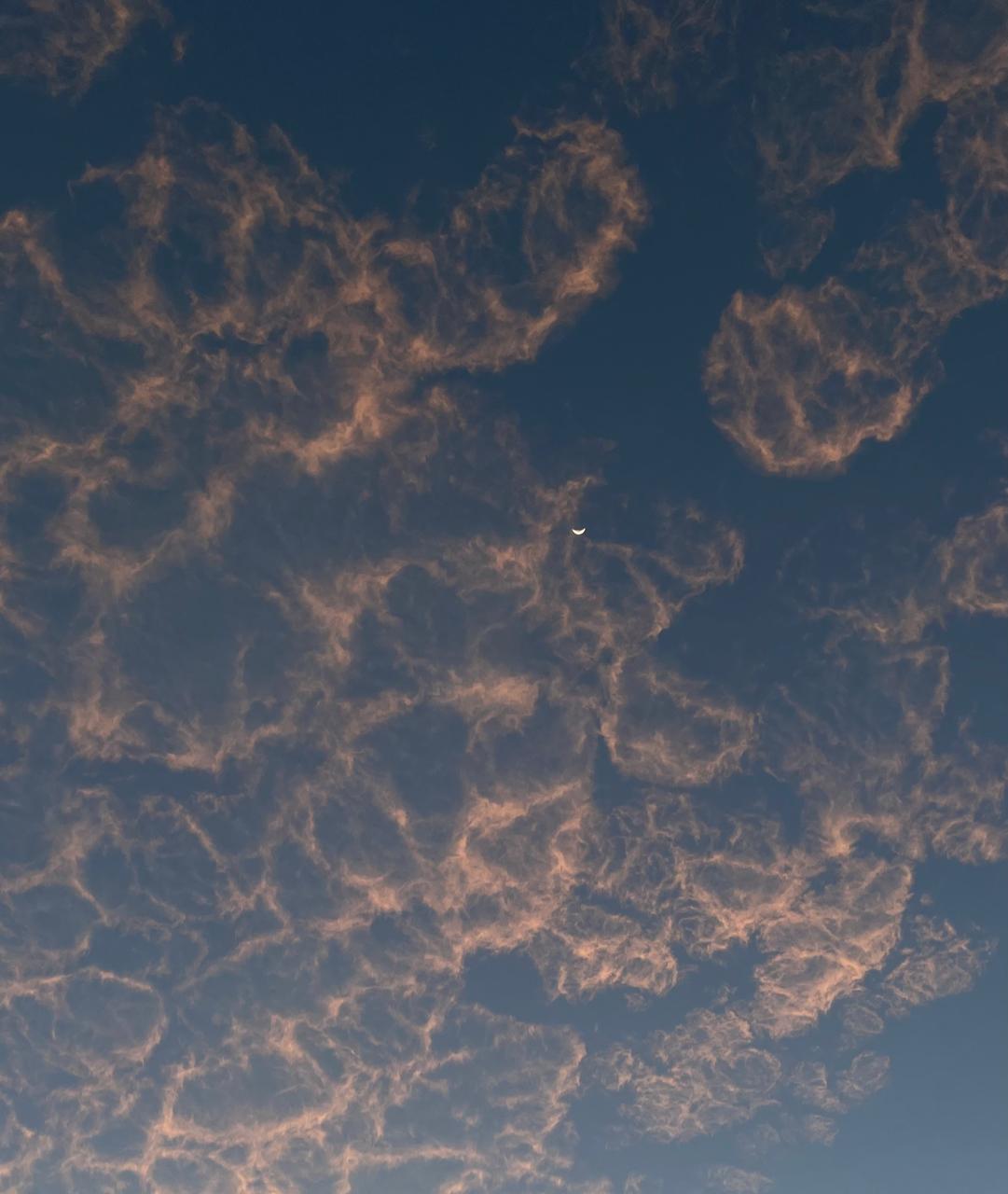 فهد العتيبي