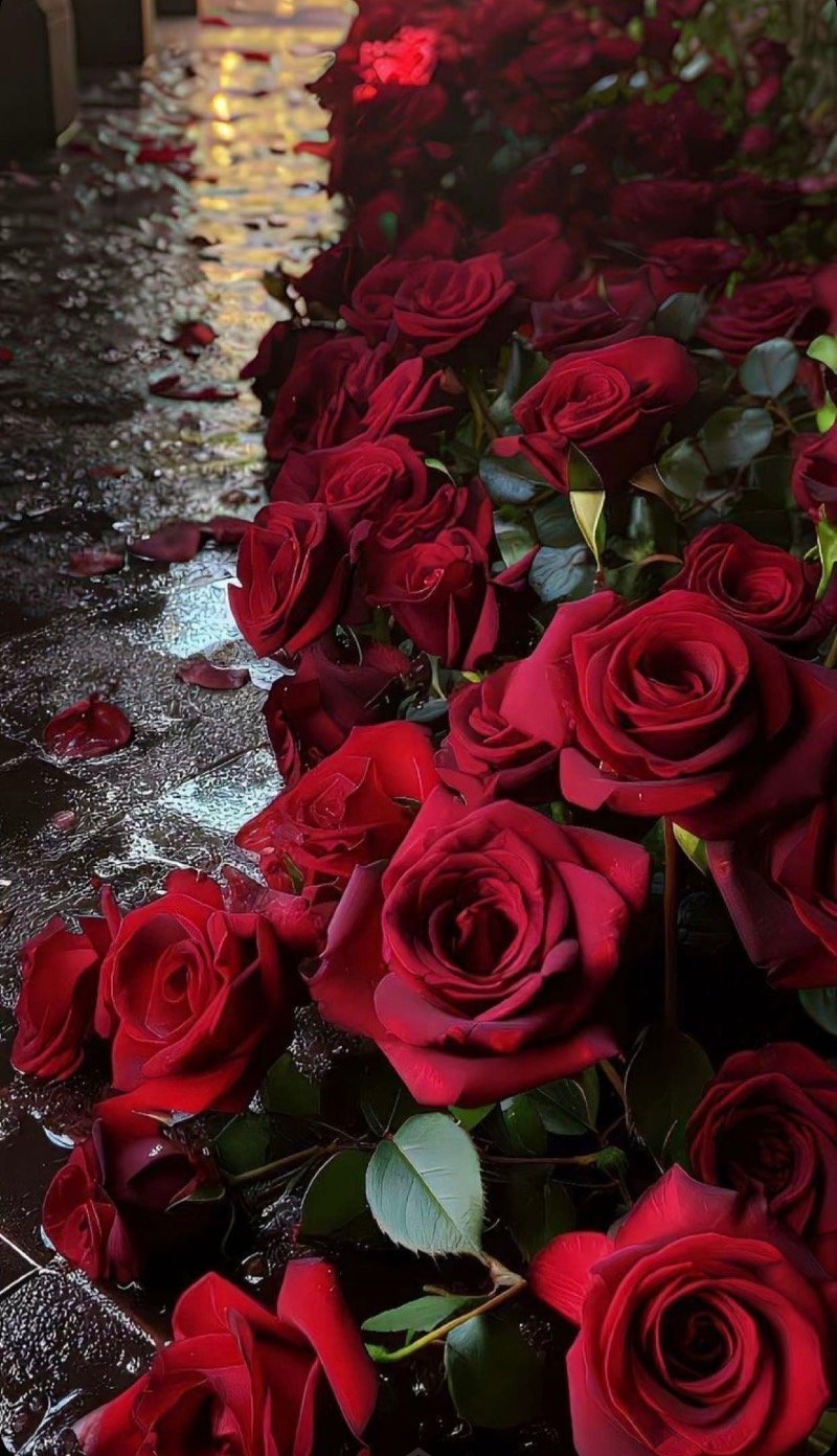 امل العسيري