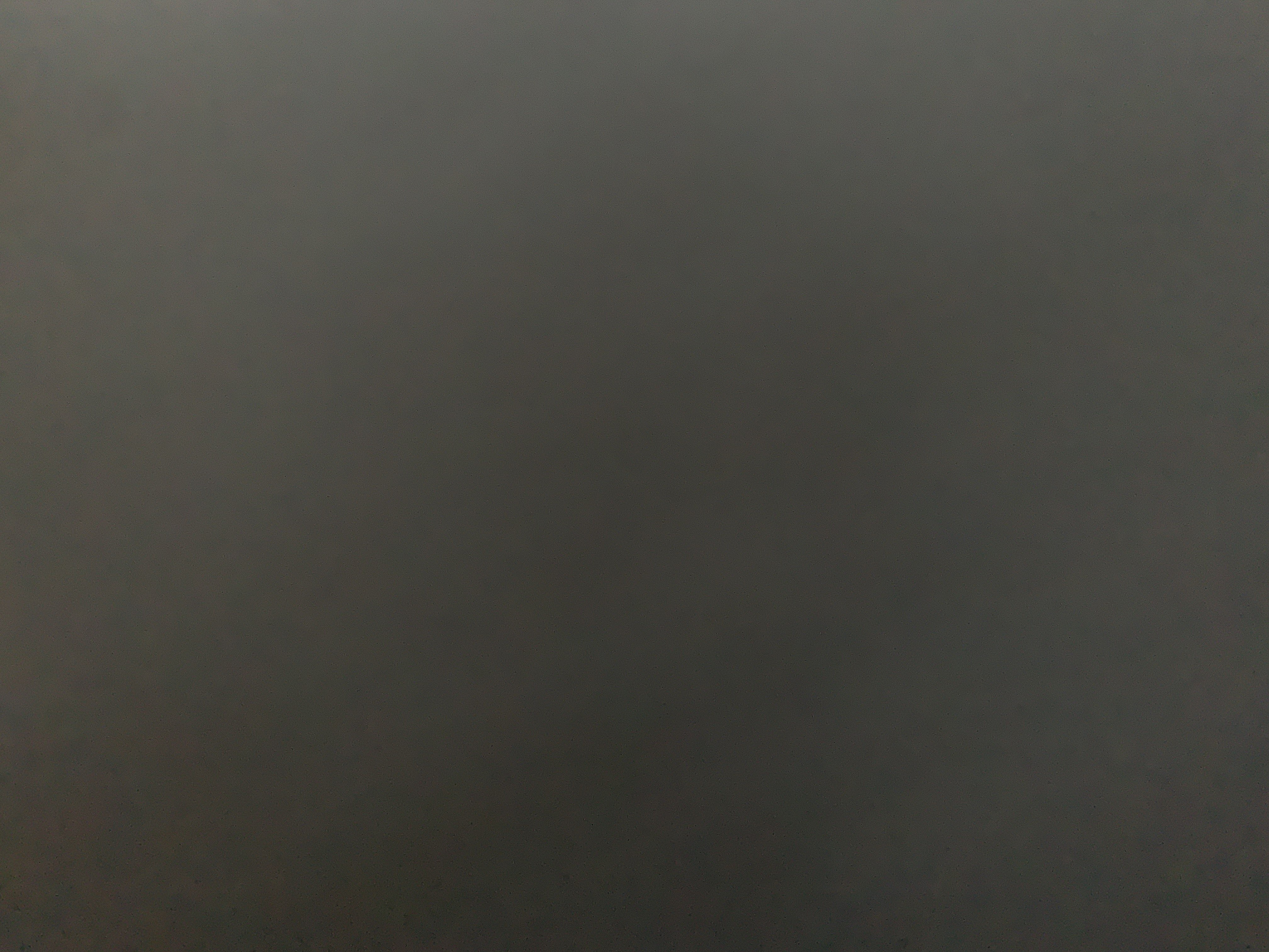 ريان العنزي