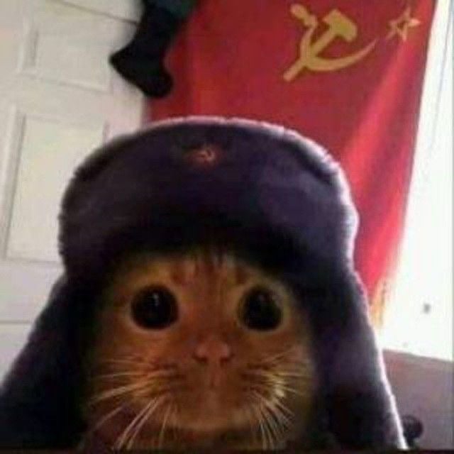 زياد العنزي