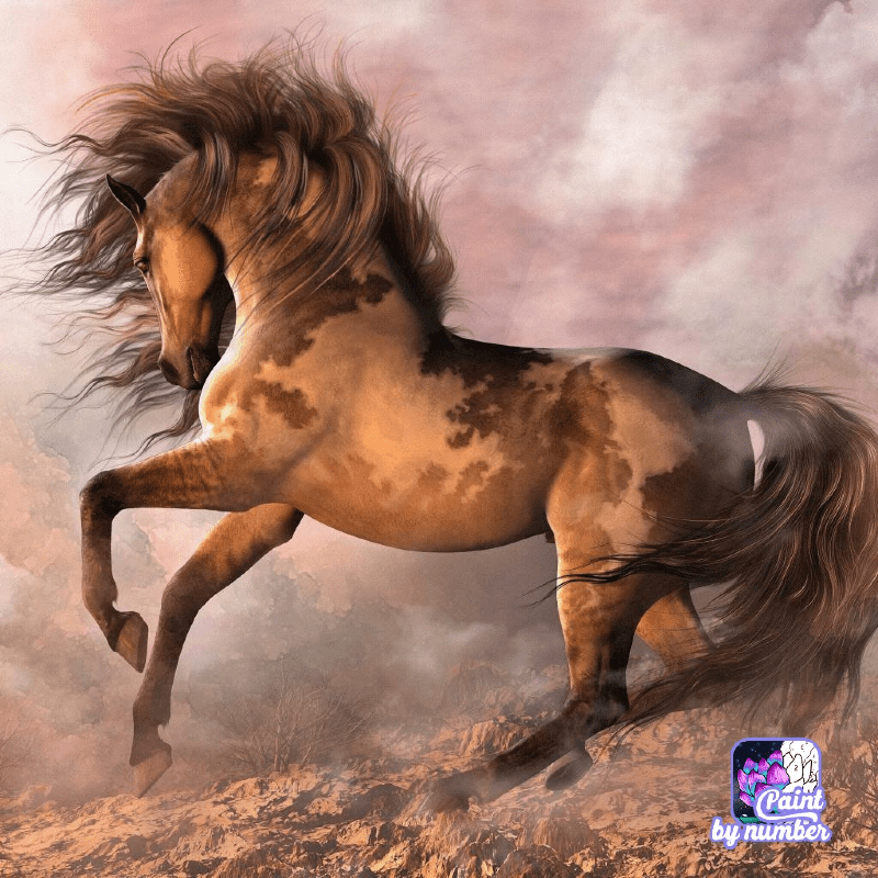 منال عبد الرحمن