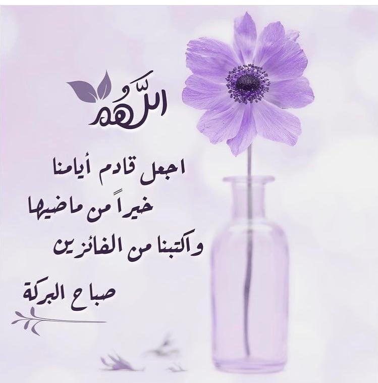 الهام شراحيلي