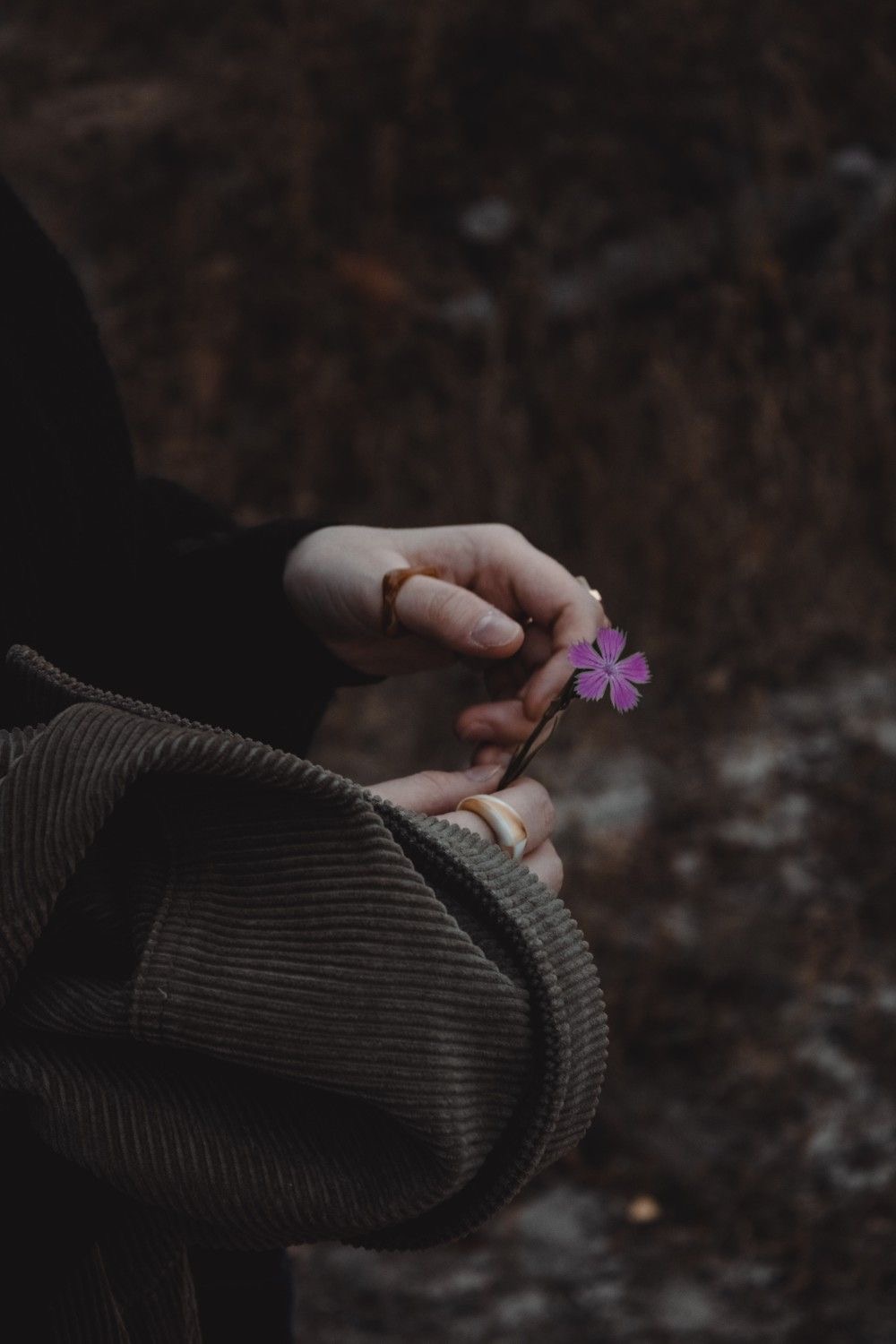 نـِِـِـوُرﮩ الحويطي