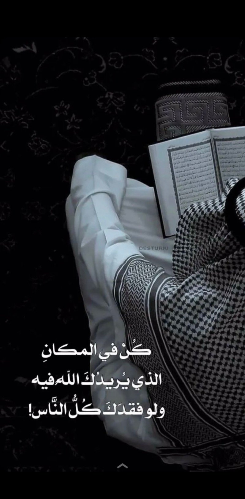 موضي الطيار