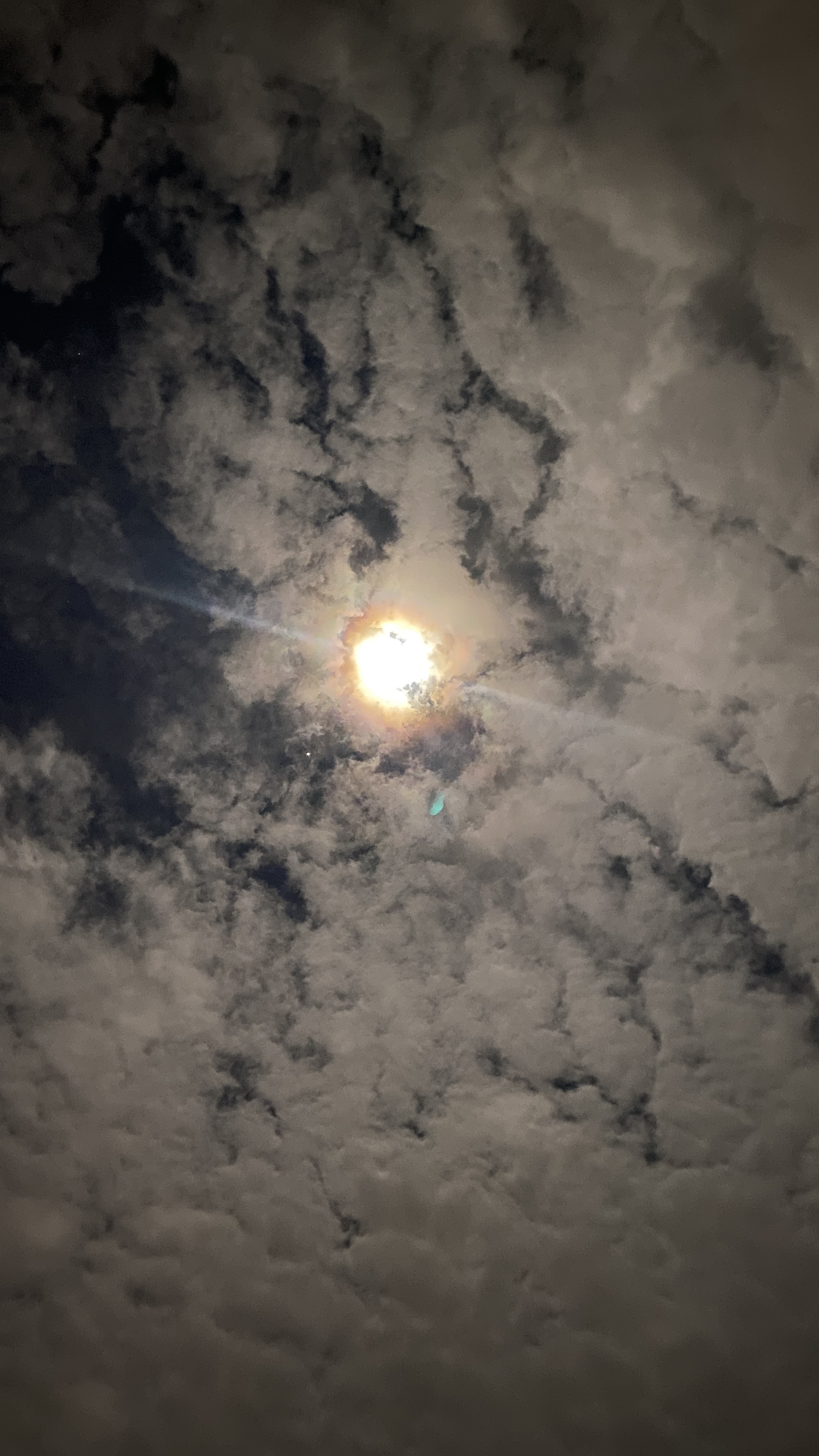 أحمد الزهراني