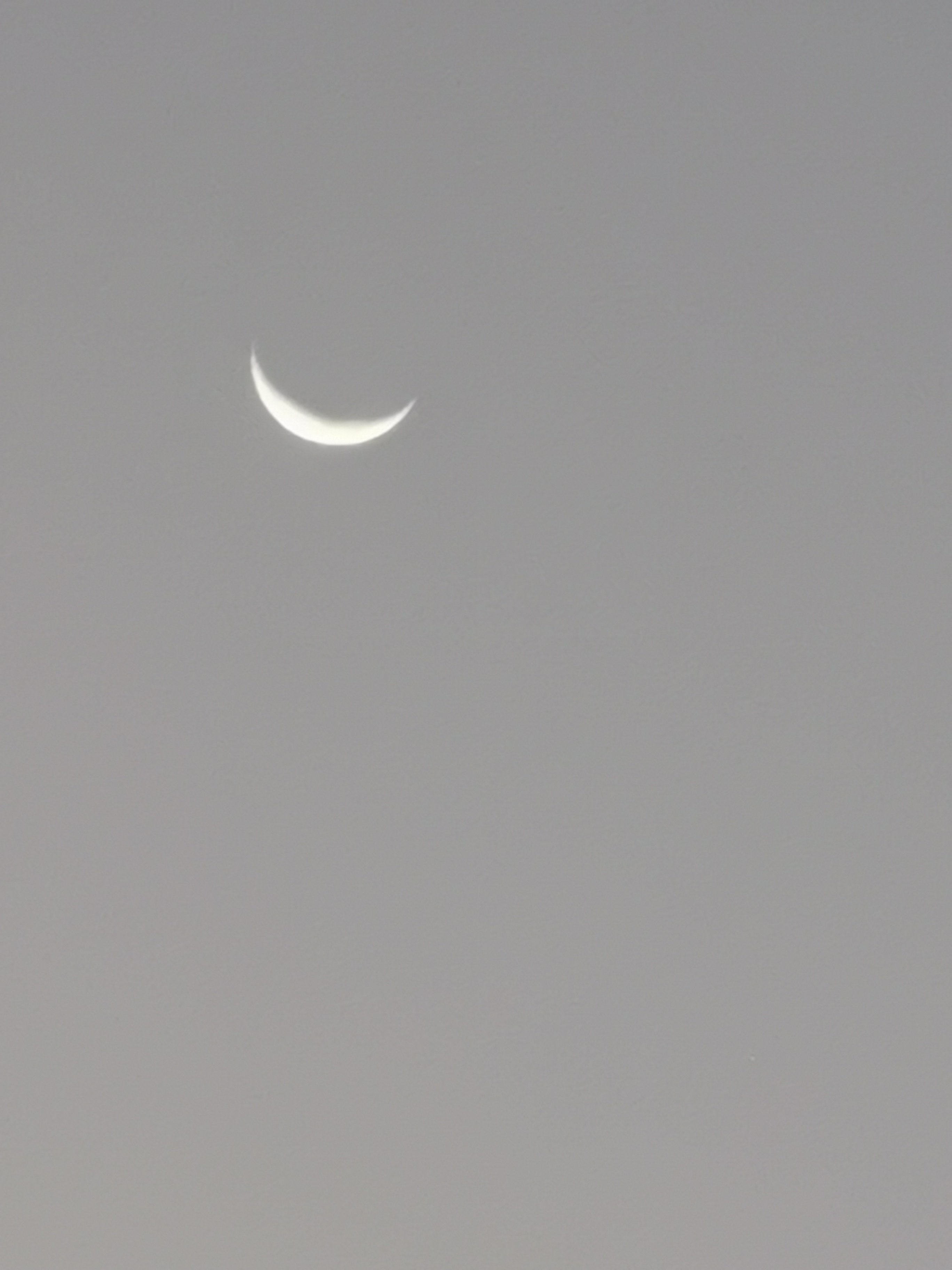 نايف العتيبي