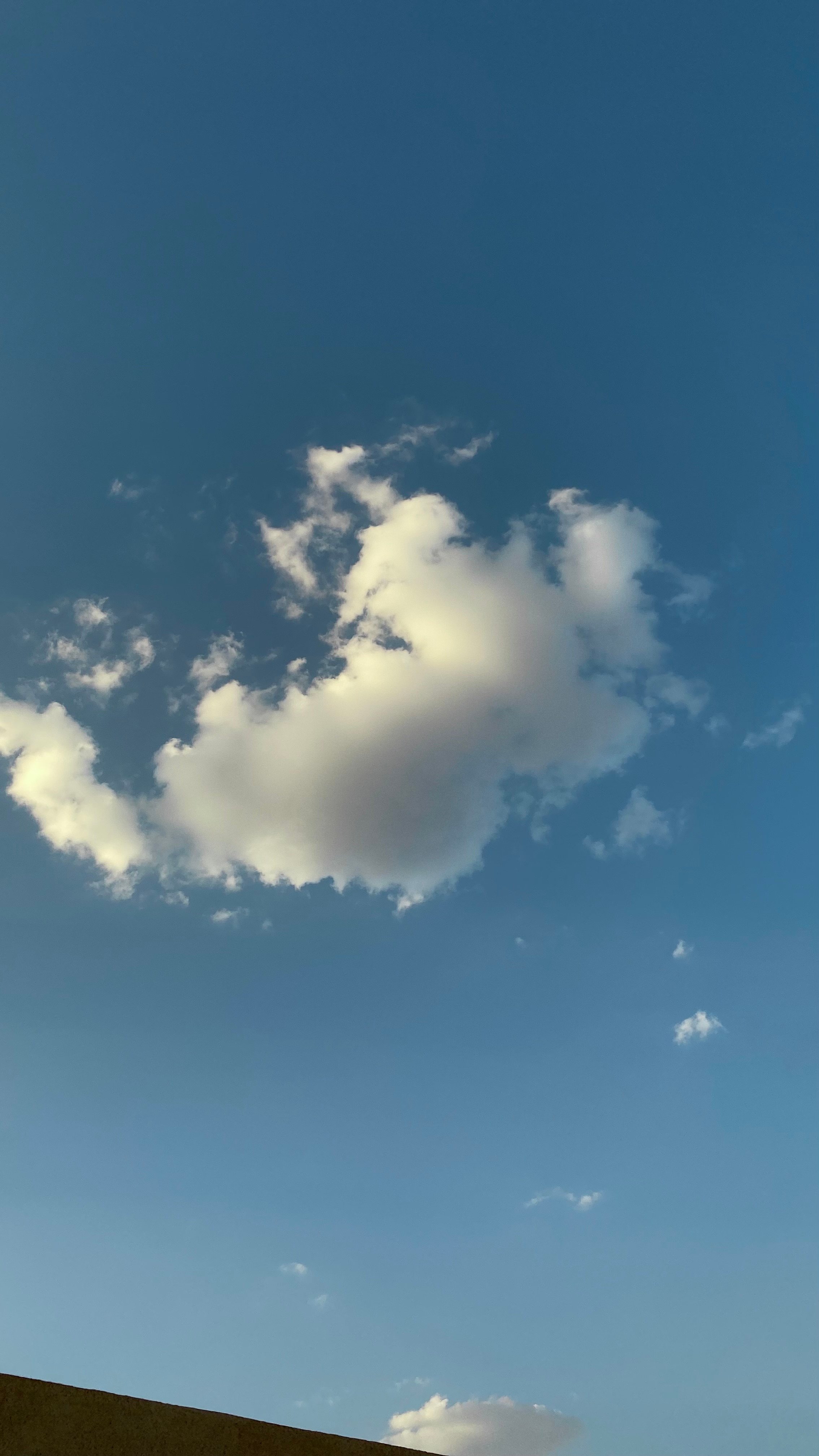 نوراة العتيبي