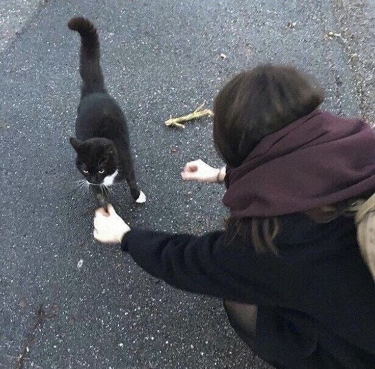 سامي المطيري