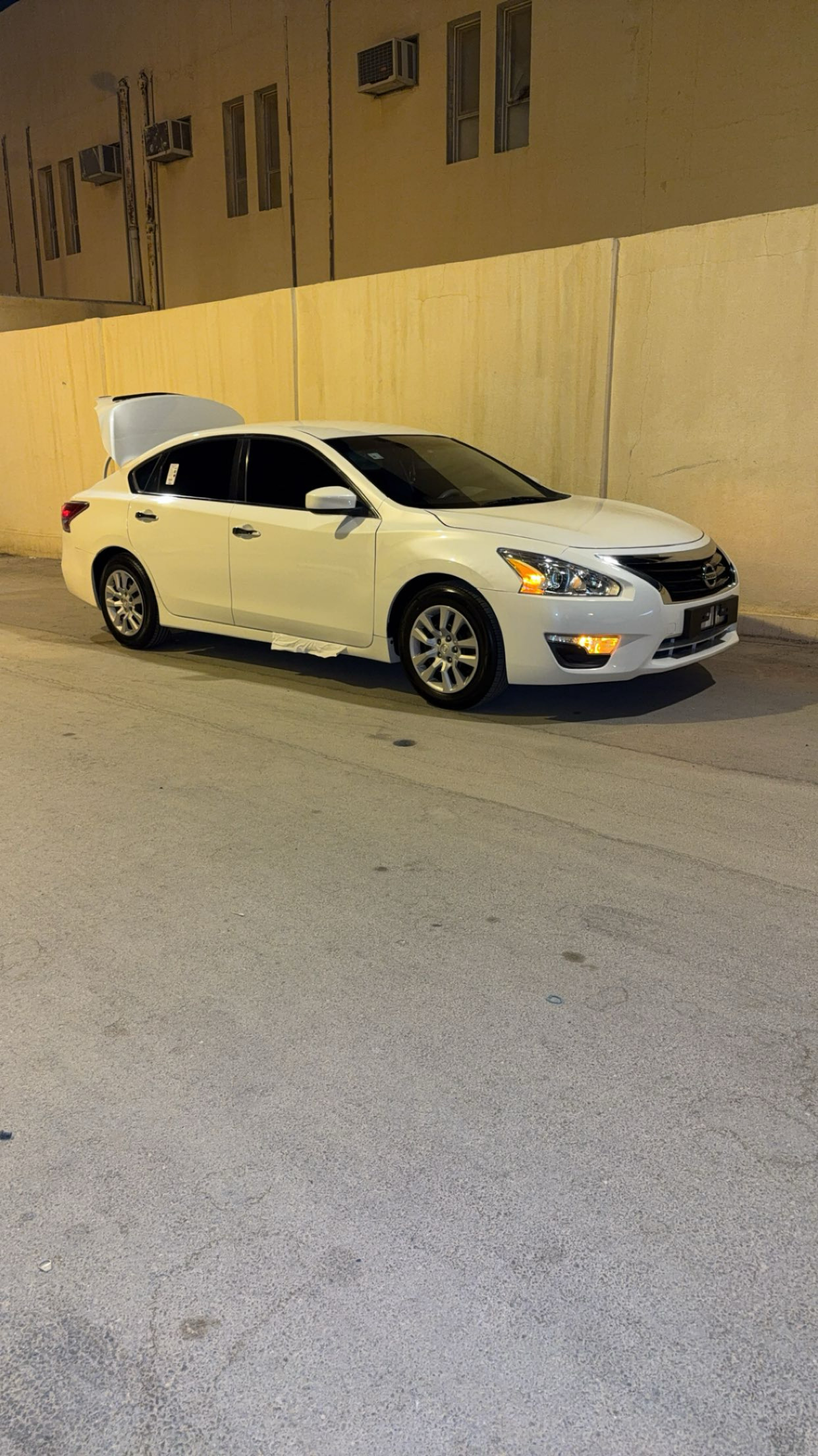 تركي بن غالب