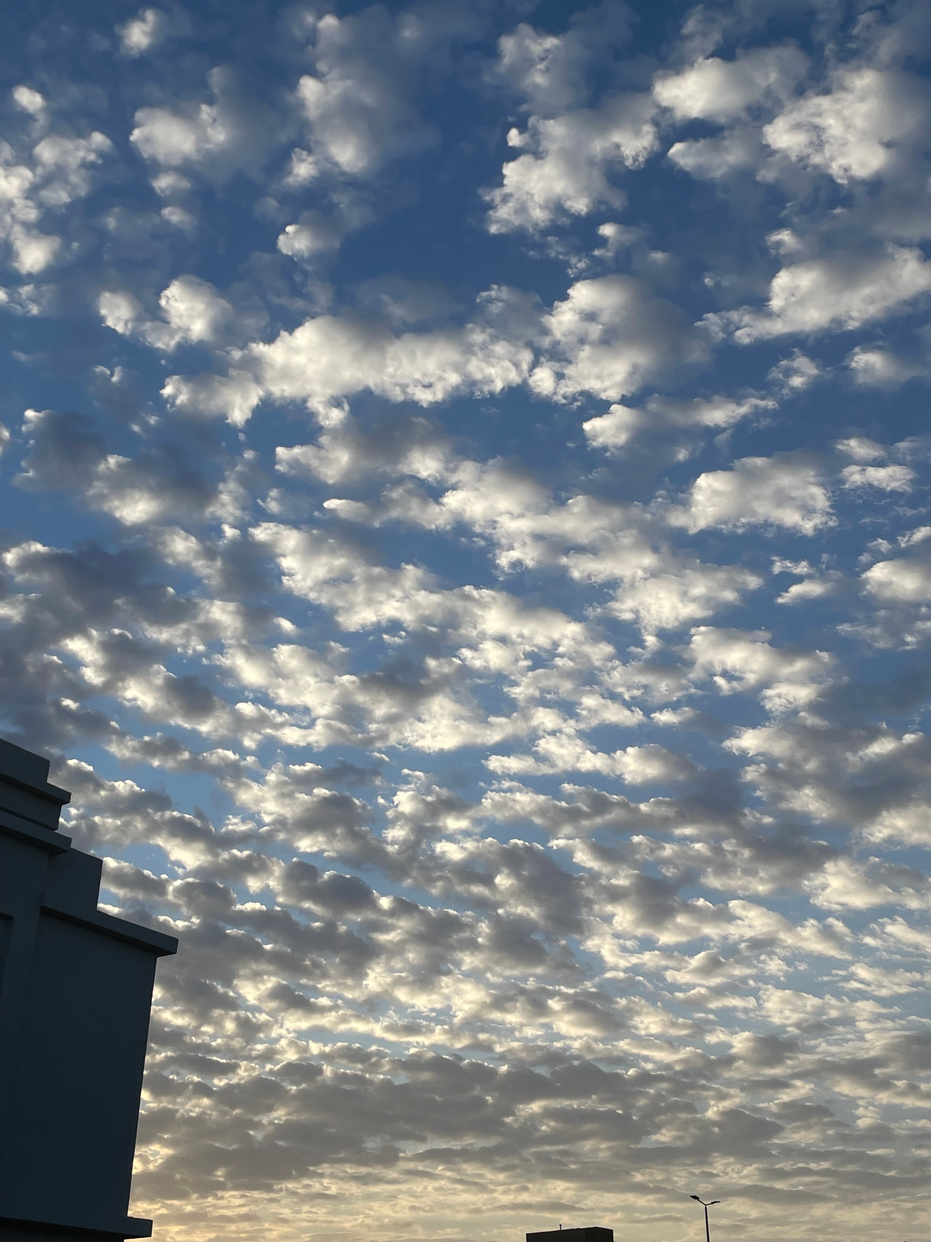 الحربي ابراهيم