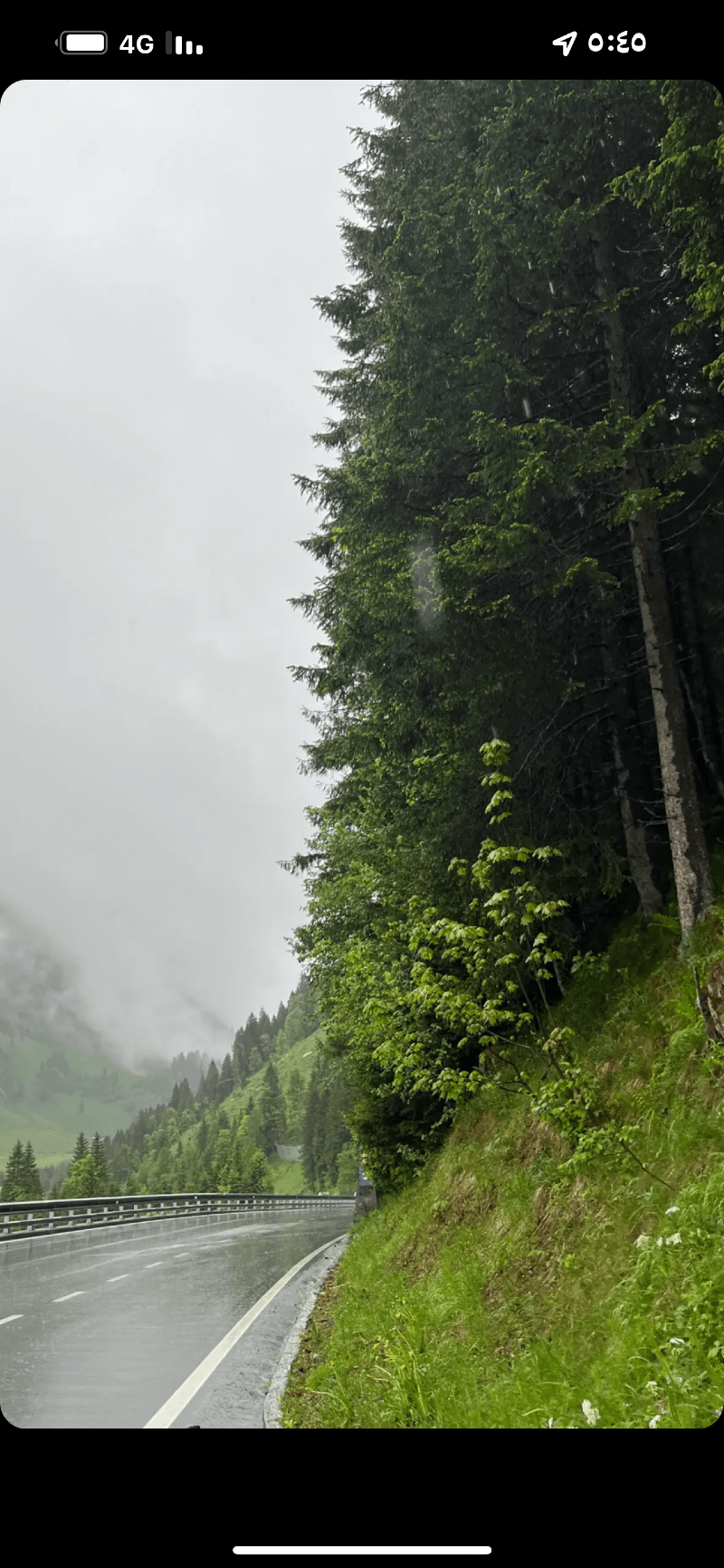 بشاير المخلوطي