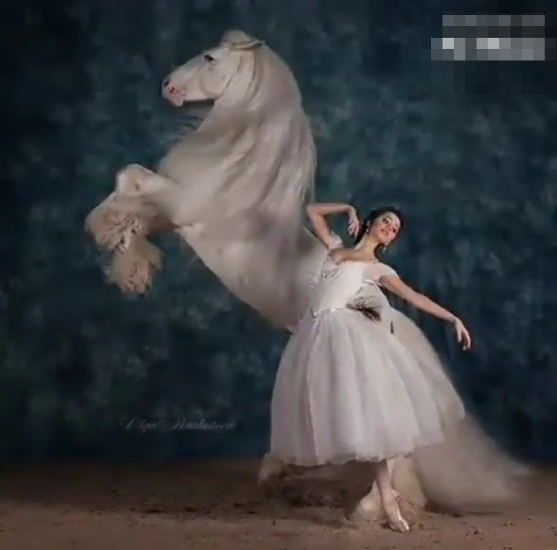 تغريد العتيبي