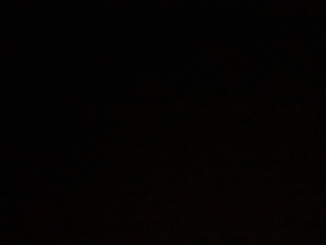 F Y