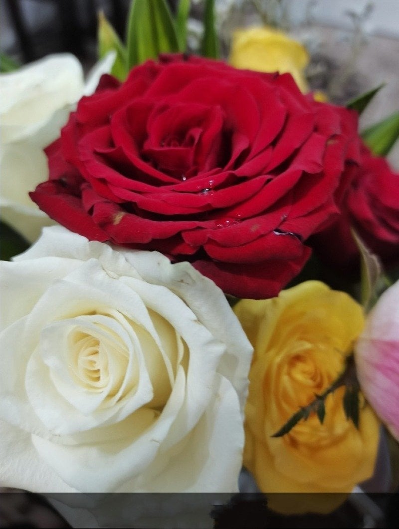 وعد فيصل الغامدي