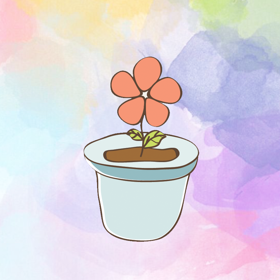 زينب الغامدي