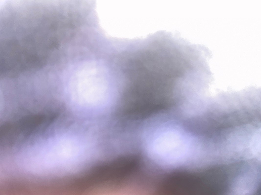 افنان ابراهيم