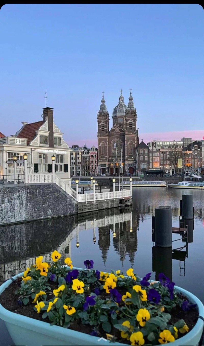 دلال الحارثي