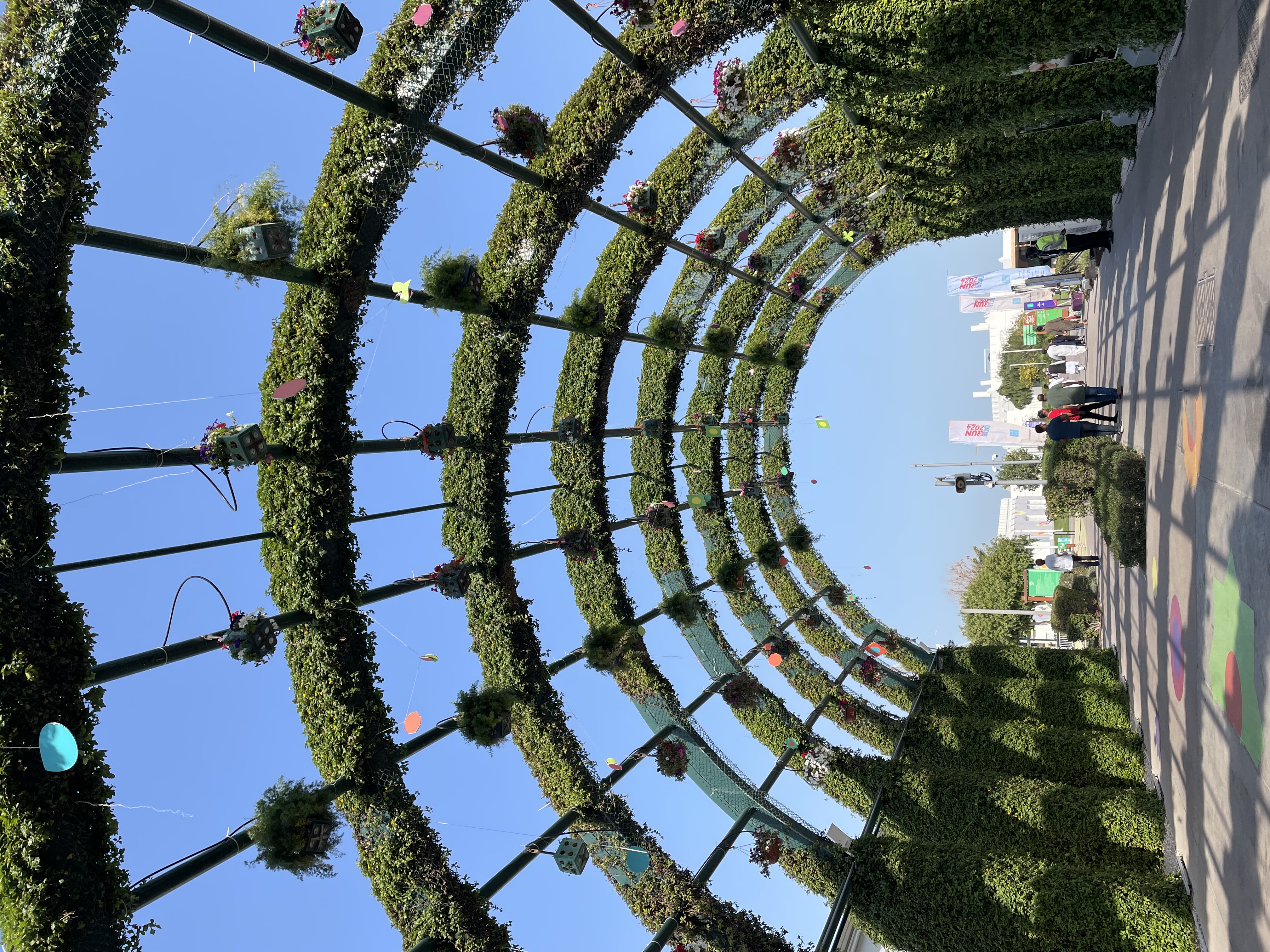 هيا النعيمي