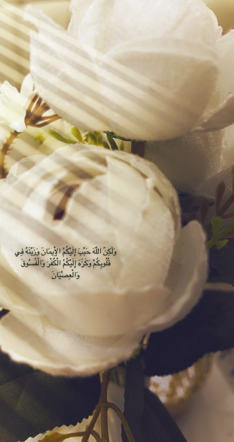 هبه السويلم 