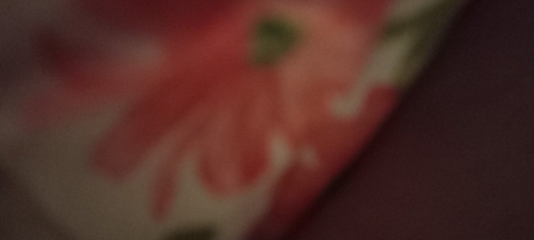 وفاء جسين الشامي