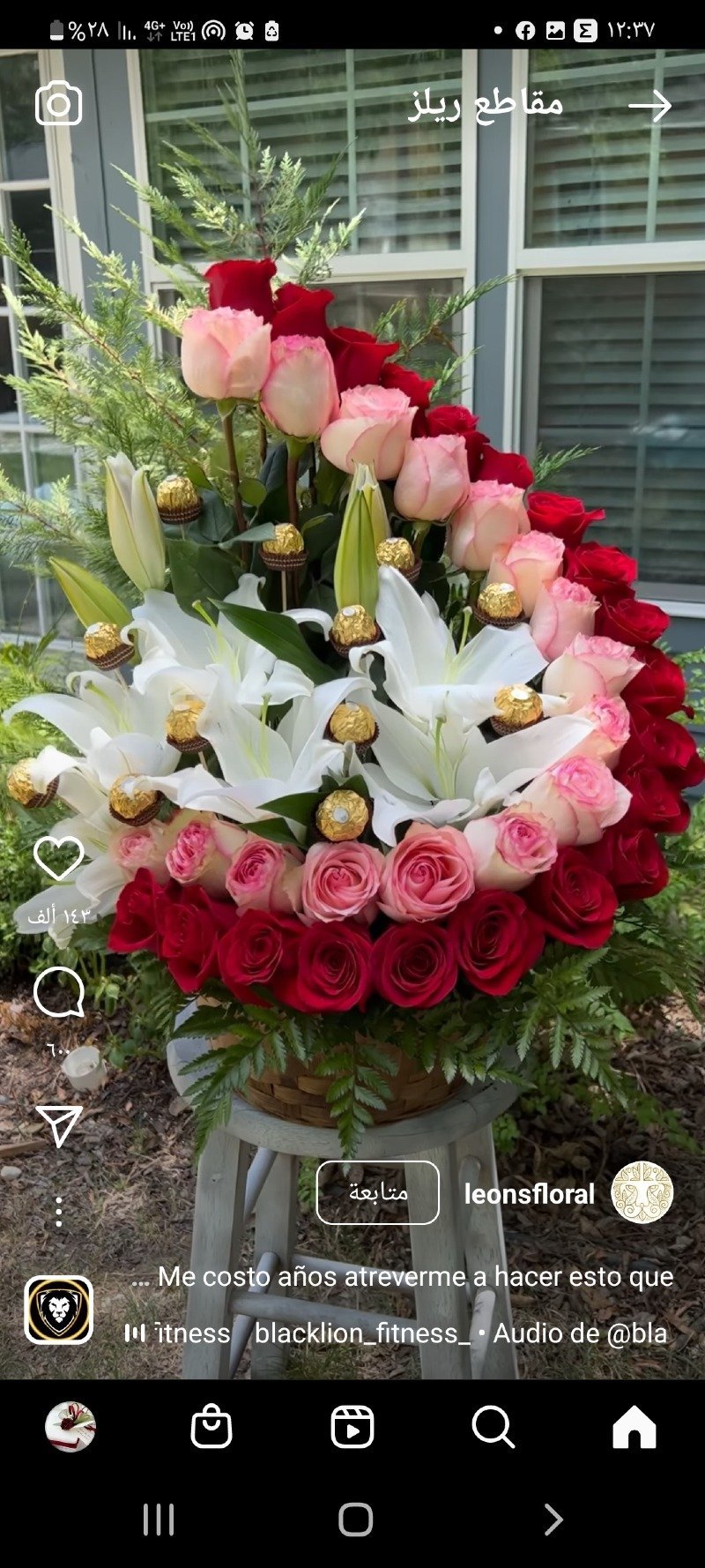 ام علي البوشي