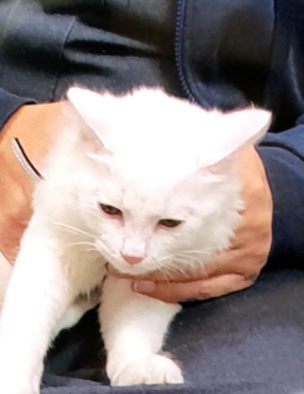 سيف شريف الغامدي