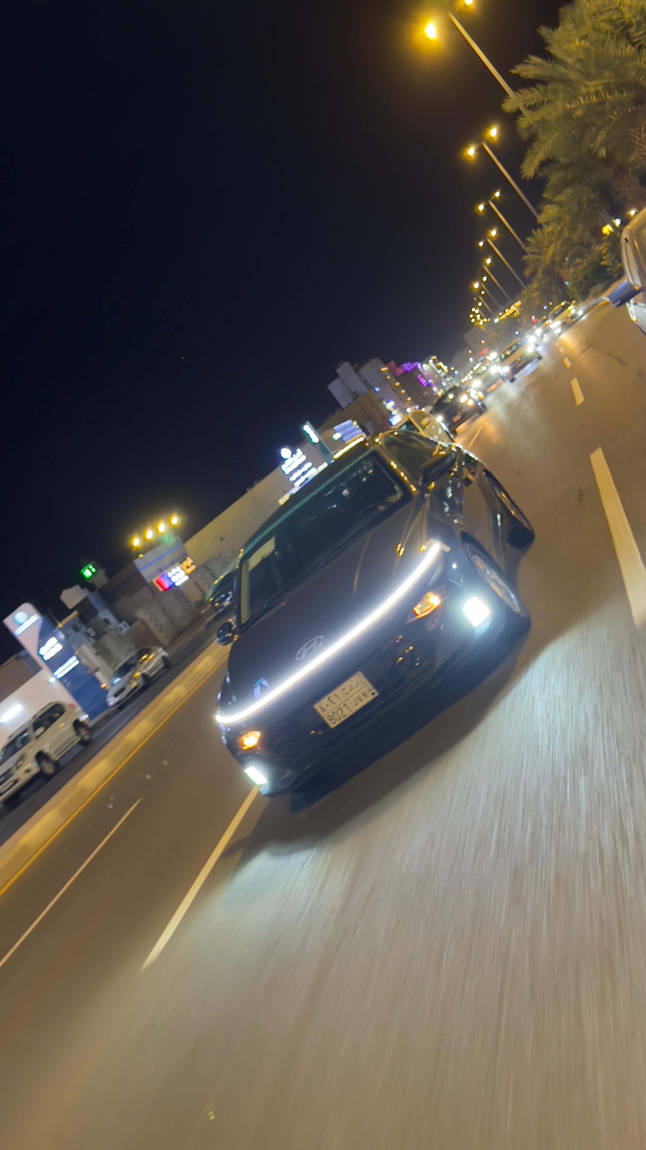 رياض المنبهى