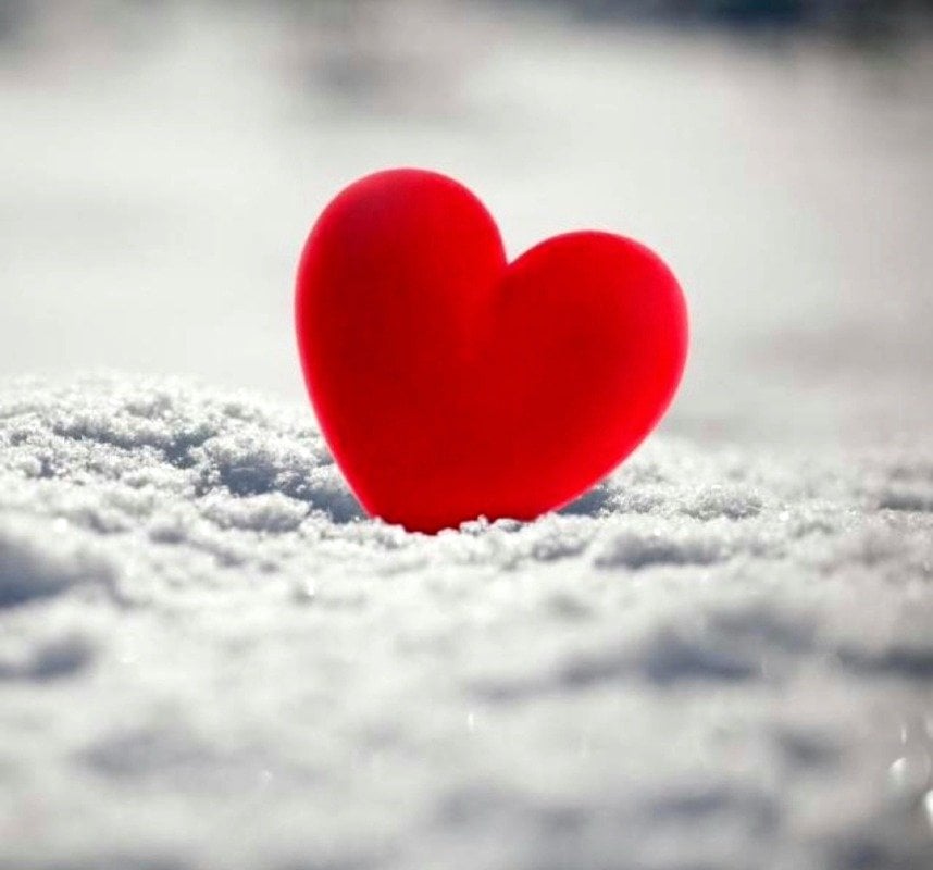 سراج الحلال