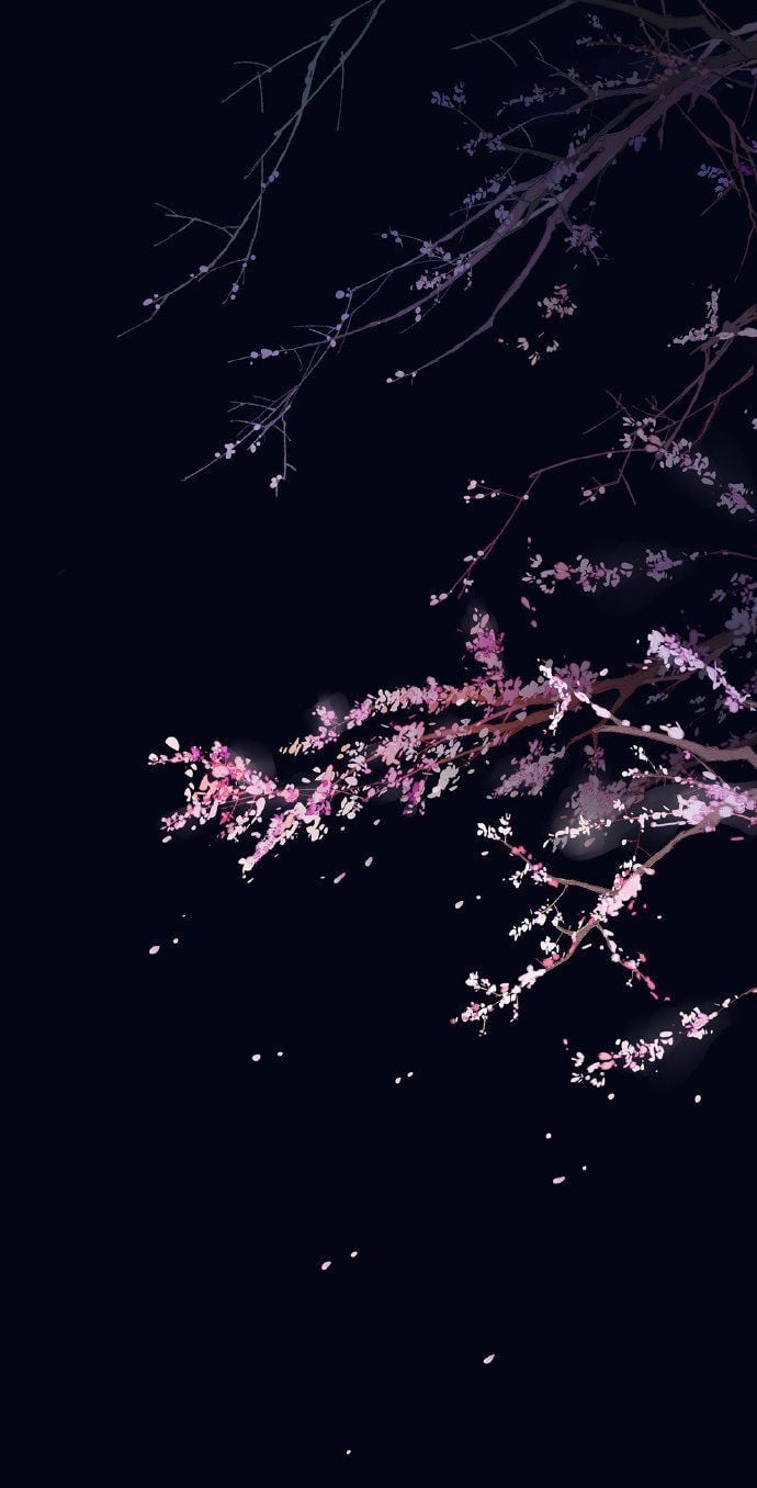 جميله الحارثي