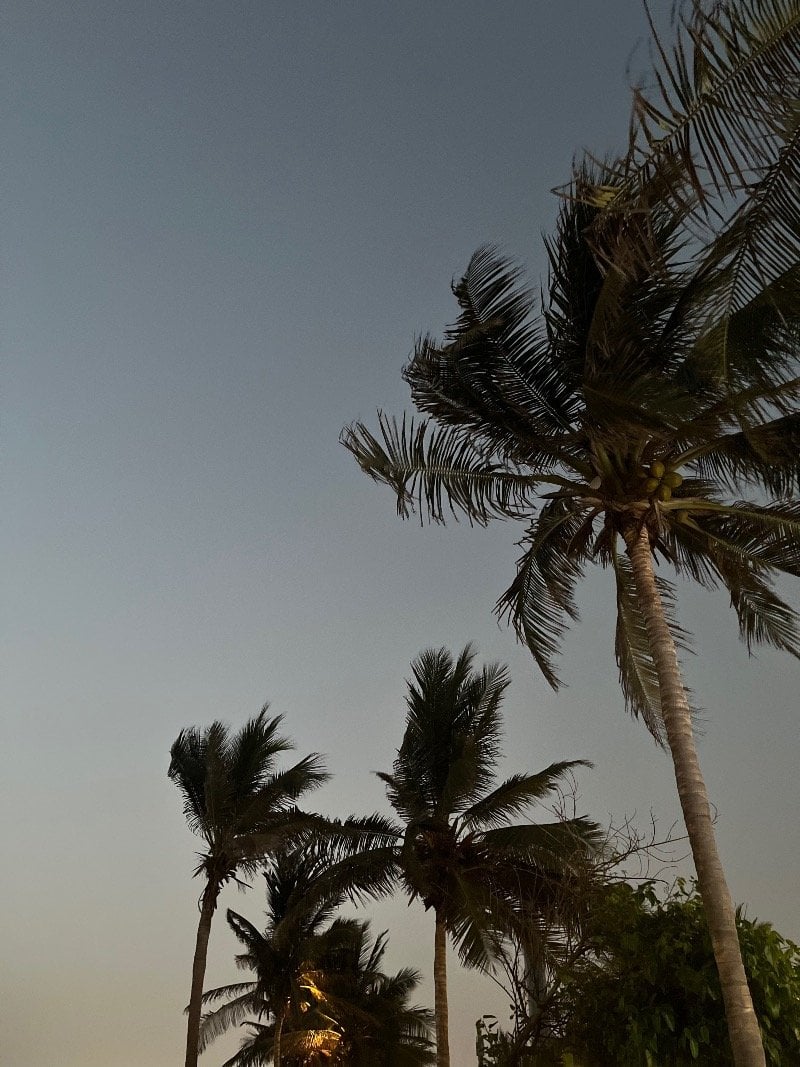 سارة الزيداني