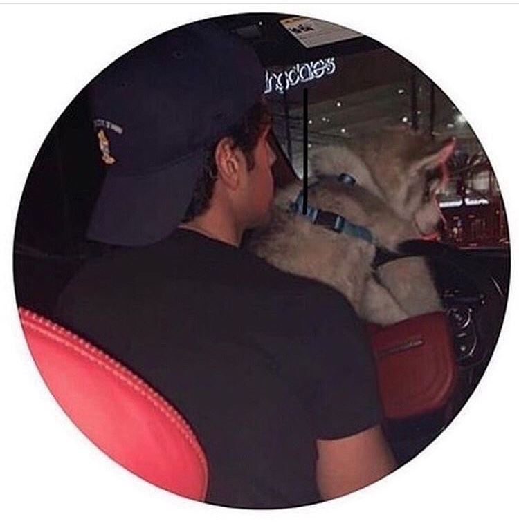 عبادي الزهراني