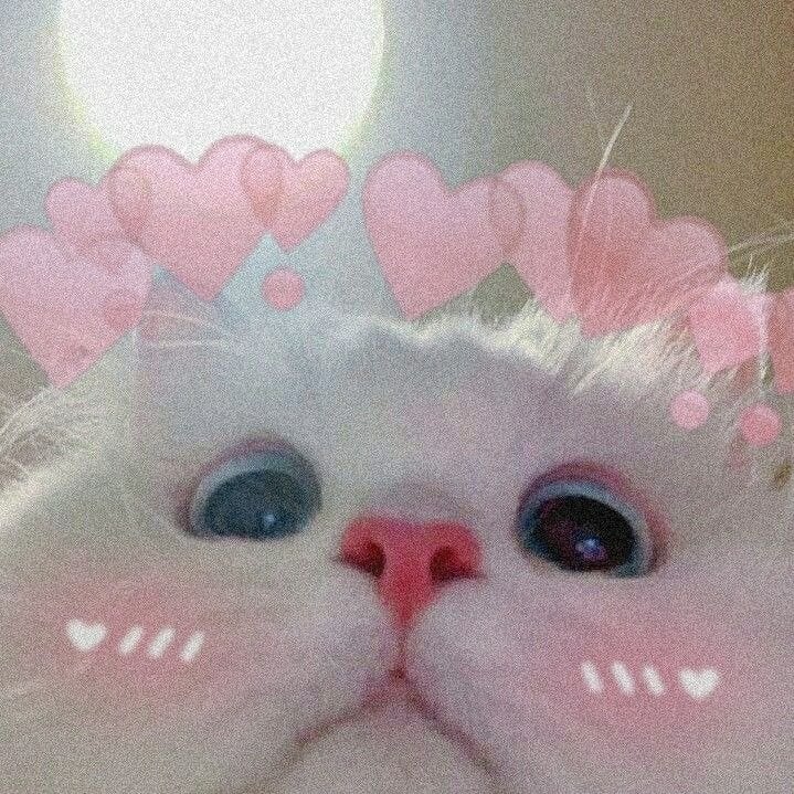 ريم عبدالله