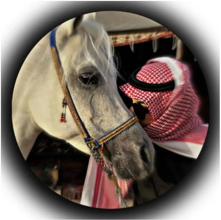 Amgad Al-Dheeb