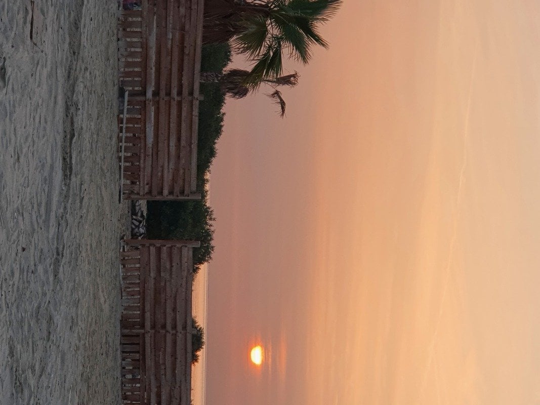 احمد العلويات