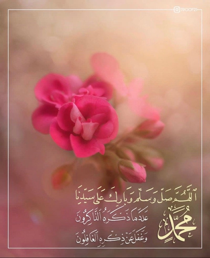 احلام العتيبي