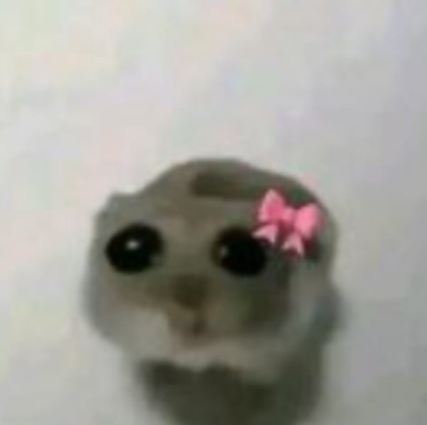 رنا الغامدي