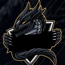 rakan rakan alrowili