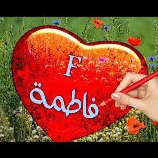 أحمد ابوطالب