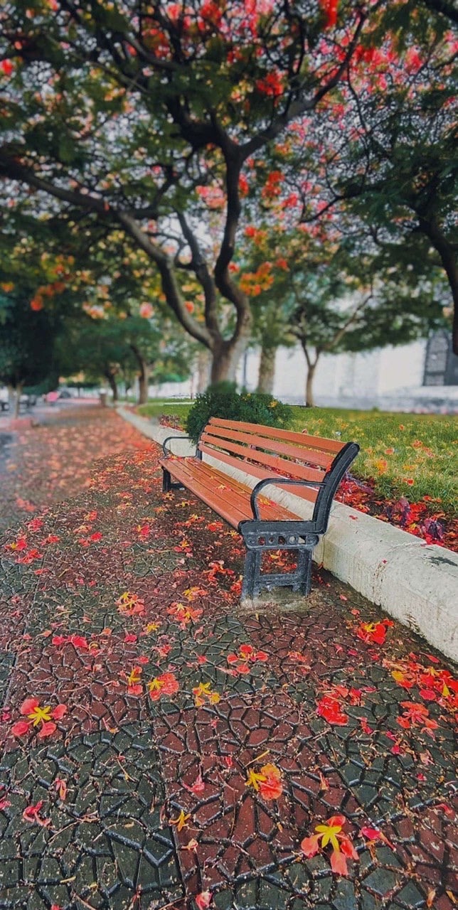 مشعل عبدالله