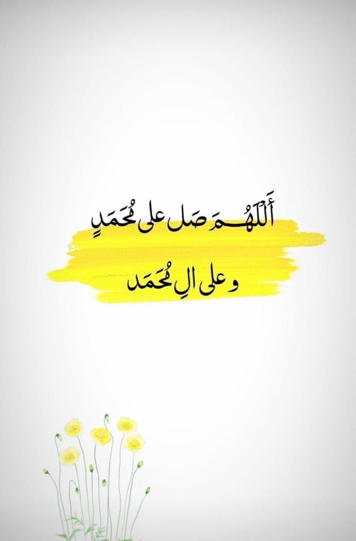 زهره المقهوي