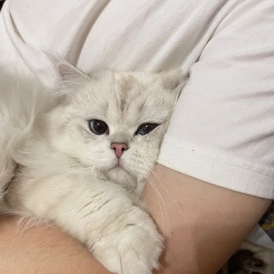 العنود السميري