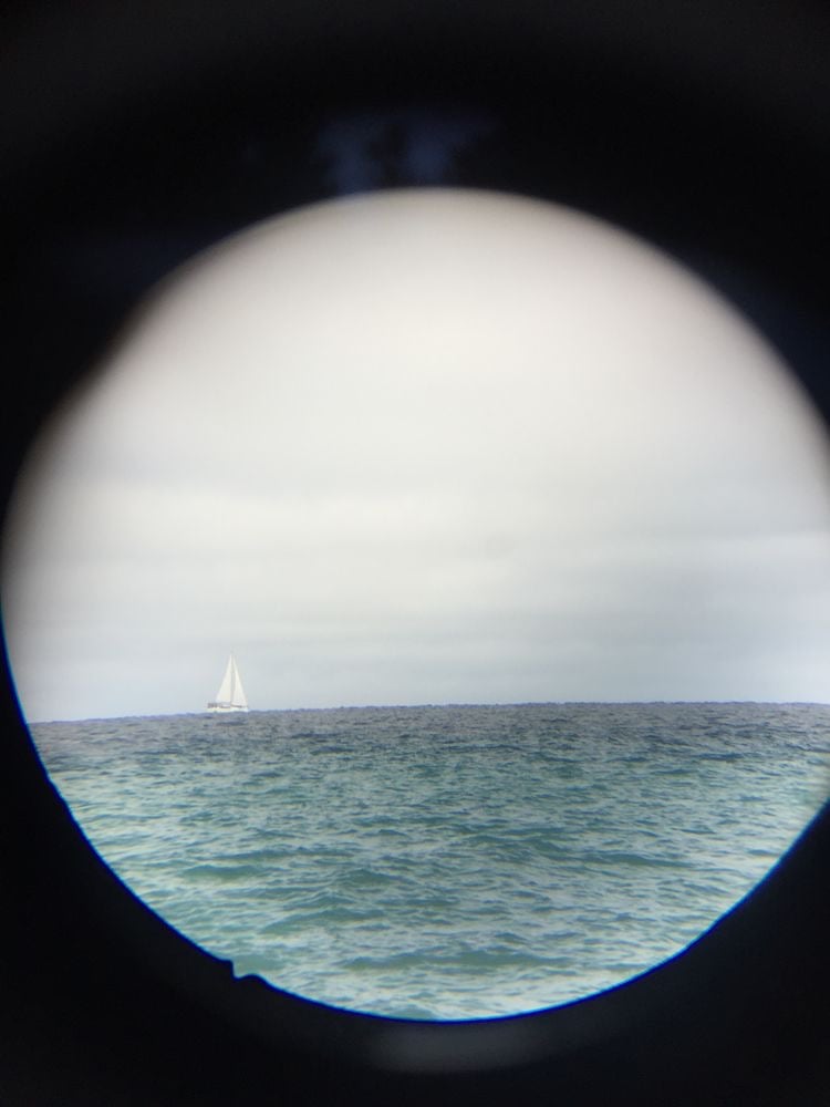 موضي عبدالله