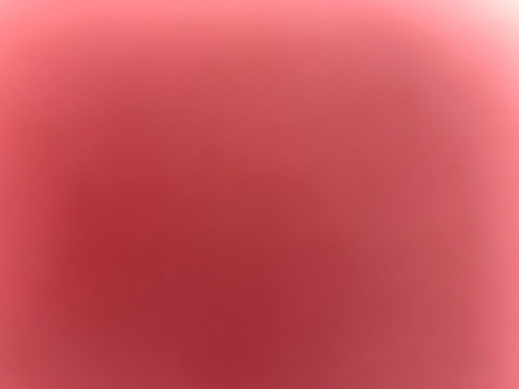 وئام الأيوبي