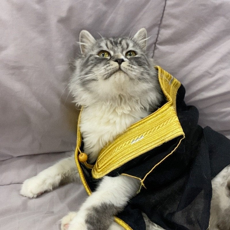 غـزلان الشمري