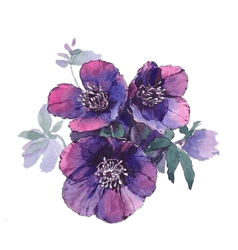 أحلام آل محمد علي