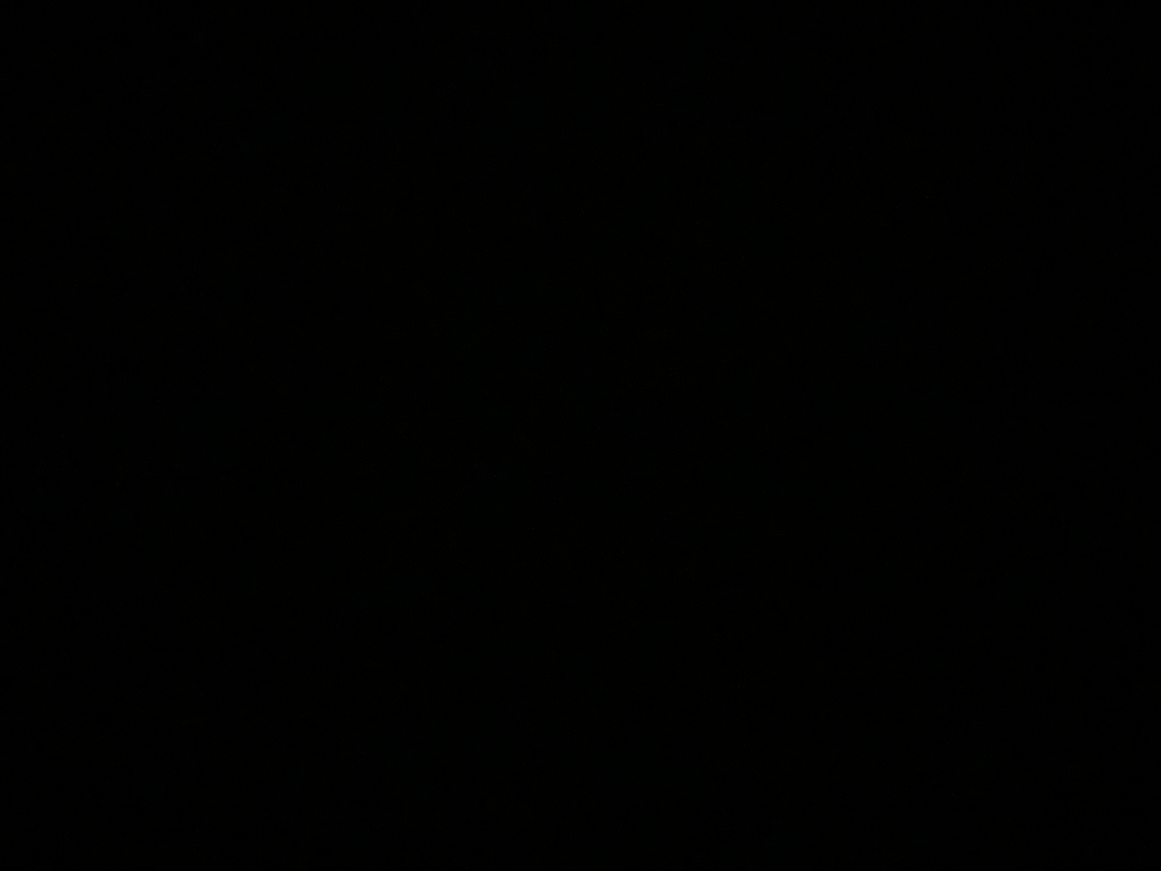 لورا النايف