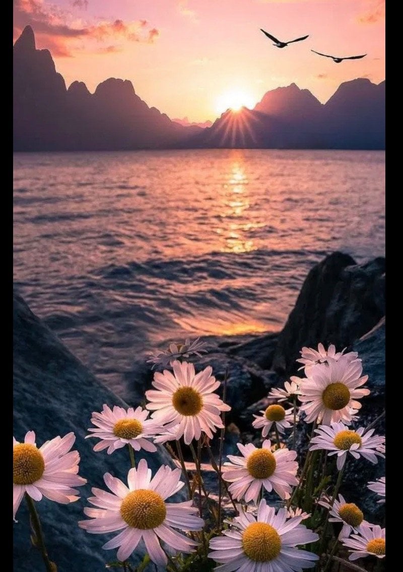 نورة الشهري